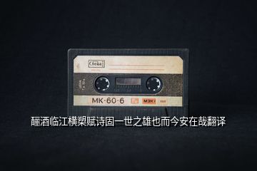 釃酒臨江橫槊賦詩固一世之雄也而今安在哉翻譯
