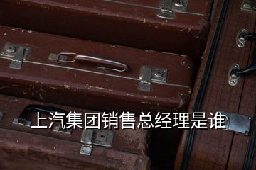 上汽集團(tuán)銷售總經(jīng)理是誰(shuí)