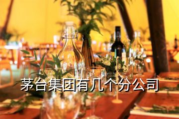 茅臺集團(tuán)有幾個分公司