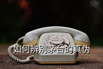 如何辨別茅臺的真?zhèn)?></p>
<h2 id=