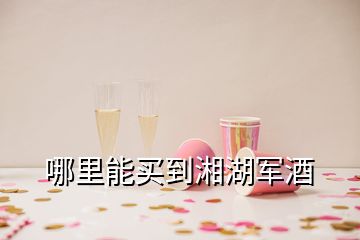 哪里能買(mǎi)到湘湖軍酒