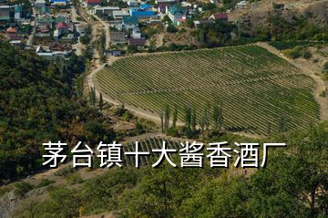 茅臺鎮(zhèn)十大醬香酒廠