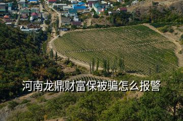 河南龍鼎財富保被騙怎么報警