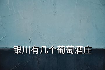 銀川有幾個葡萄酒莊