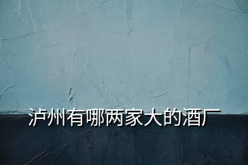 瀘州有哪兩家大的酒廠