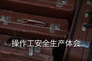 操作工安全生產(chǎn)體會(huì)