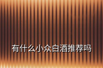 有什么小眾白酒推薦嗎