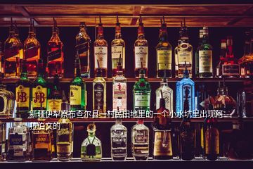 新疆伊犁察布查爾縣一村民田地里的一個小水坑里出現(xiàn)阿拉伯文的