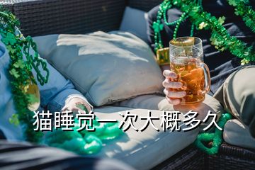 貓睡覺(jué)一次大概多久