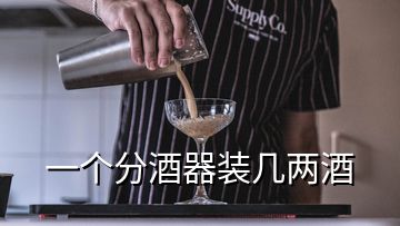一個(gè)分酒器裝幾兩酒