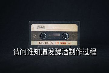 請問誰知道發(fā)酵酒制作過程