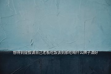 想得到提拔請自己老板吃飯該到那吃喝什么牌子酒好