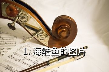 1. ?？狒~的圖片