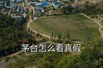 茅臺(tái)怎么看真假