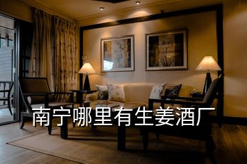南寧哪里有生姜酒廠