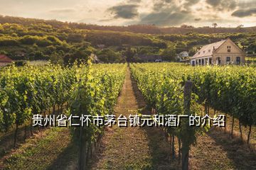貴州省仁懷市茅臺(tái)鎮(zhèn)元和酒廠的介紹