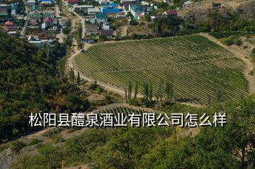 松陽(yáng)縣醴泉酒業(yè)有限公司怎么樣