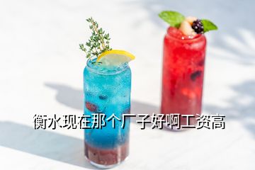衡水現(xiàn)在那個廠子好啊工資高