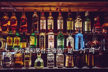茅臺酒和茅臺玉液酒廠是一個廠嗎