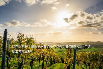 想在農(nóng)村開個(gè)釀造玉米白酒小作坊都需要向那些部門申請(qǐng)批準(zhǔn)才能正規(guī)