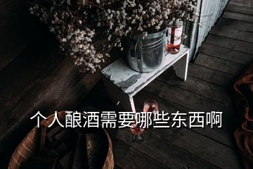 個人釀酒需要哪些東西啊