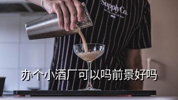 辦個小酒廠可以嗎前景好嗎