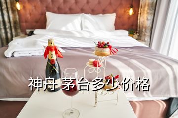 神舟 茅臺多少價格