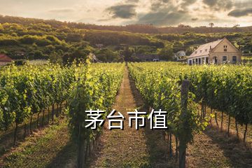 茅臺(tái)市值