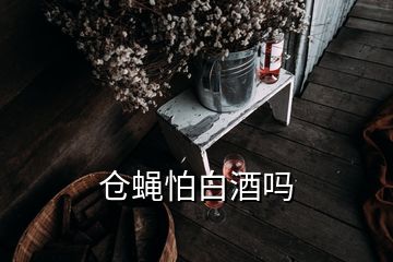 倉(cāng)蠅怕白酒嗎