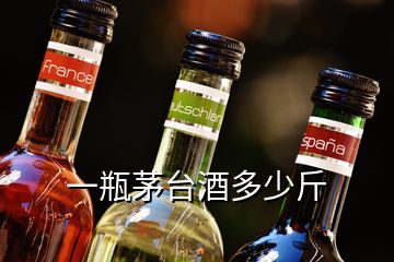 一瓶茅臺(tái)酒多少斤