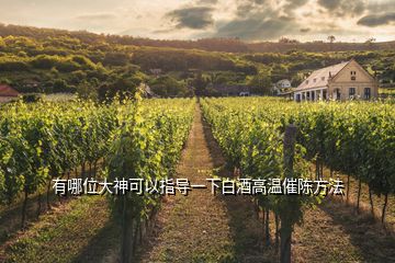 有哪位大神可以指導一下白酒高溫催陳方法