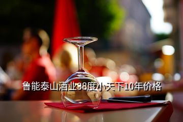 魯能泰山酒業(yè)38度小天下10年價格