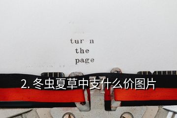 2. 冬蟲夏草中支什么價圖片