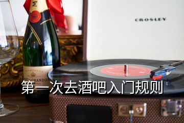 第一次去酒吧入門(mén)規(guī)則