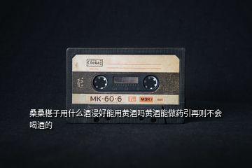 桑桑椹子用什么酒浸好能用黃酒嗎黃酒能做藥引再則不會(huì)喝酒的