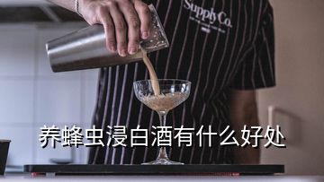 養(yǎng)蜂蟲(chóng)浸白酒有什么好處