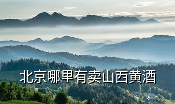 北京哪里有賣山西黃酒