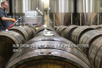 陸游 烏桕微丹菊漸開(kāi)天高風(fēng)送雁聲哀 詩(shī)情也似并刀快剪得秋光