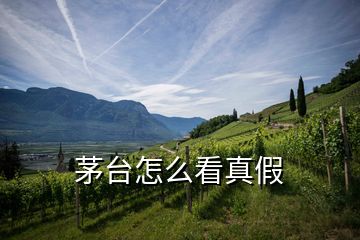 茅臺(tái)怎么看真假