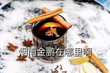 煙雨金鵬在哪里啊