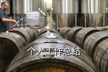 個(gè)人工作總結(jié)