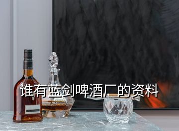 誰有藍(lán)劍啤酒廠的資料