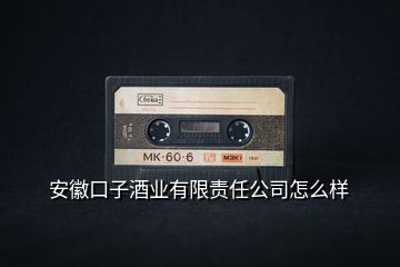安徽口子酒業(yè)有限責(zé)任公司怎么樣