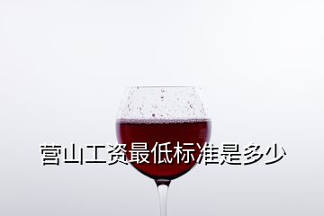 營山工資最低標(biāo)準(zhǔn)是多少