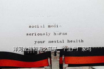 洋河龍族和海之藍(lán)是一個(gè)生產(chǎn)廠(chǎng)家嗎