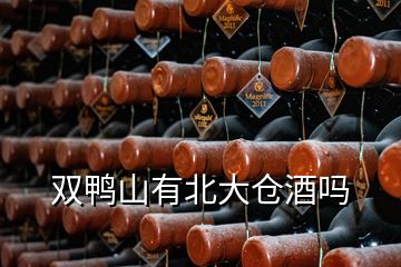 雙鴨山有北大倉(cāng)酒嗎