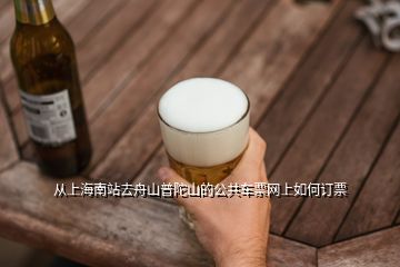 從上海南站去舟山普陀山的公共車(chē)票網(wǎng)上如何訂票