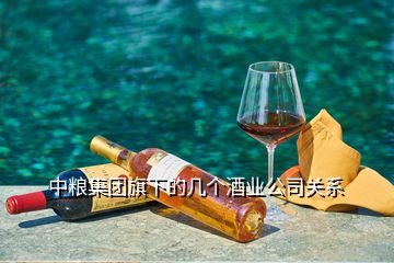 中糧集團旗下的幾個酒業(yè)公司關系