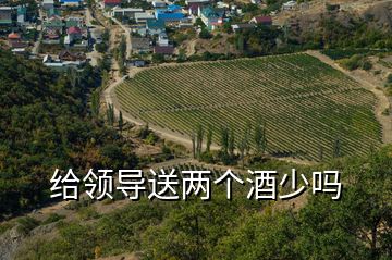 給領導送兩個酒少嗎