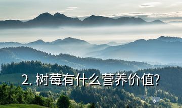 2. 樹(shù)莓有什么營(yíng)養(yǎng)價(jià)值?
